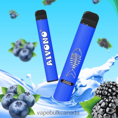 E Cigarette Wholesale - Aivono AIM FISHBONE 600 Blueberry Raspberry 2J4F60281