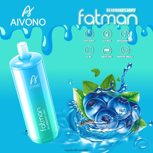 Vape Wholesale Canada - Aivono FATMAN 6800 Blueberry Mint 2J4F6022