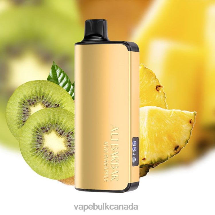 Vape Wholesale - Alibarbar Ingot 20000 Disposable Vape Kiwi Pineapple P60ZF38