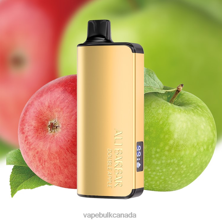 Vape Wholesale - Alibarbar Ingot 9000 Disposable Vape Double Apple P60ZF28