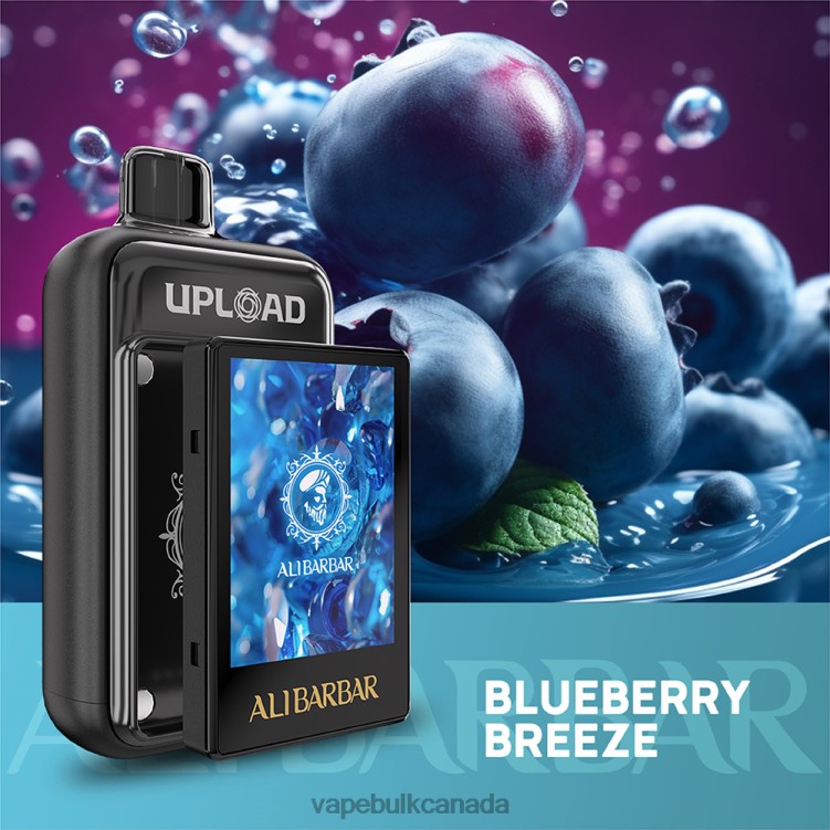 E Cig Wholesale - Alibarbar Upload L2JPJ113 Blueberry breeze