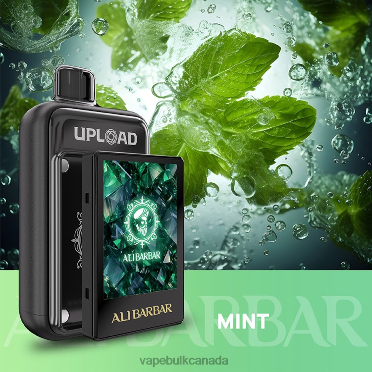 Vape Wholesale Distributor Canada - Alibarbar Upload L2JPJ117 Mint