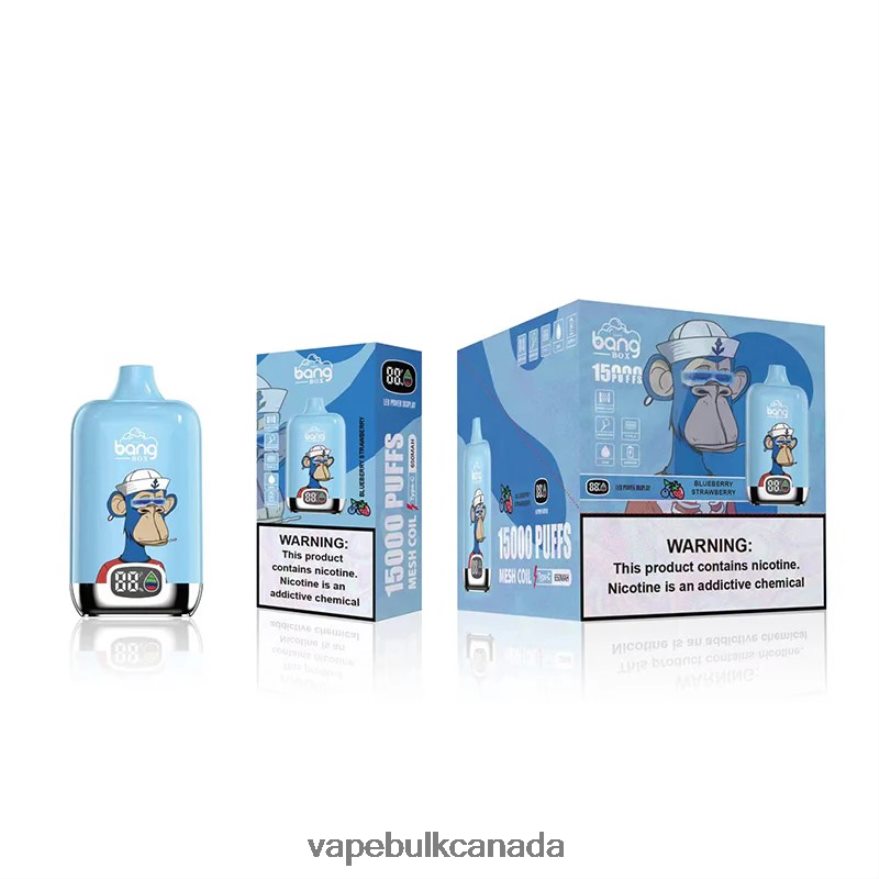 466BLN132 Blueberry Strawberry - Vape Wholesale Canada Bang Box 15000