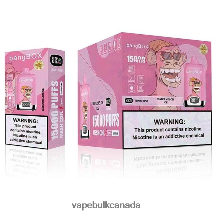 466BLN139 Watermelon Ice - Vape Wholesale Supplier Canada Bang Box 15000