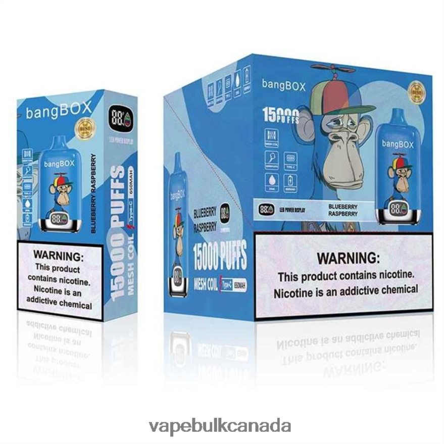 466BLN140 Blueberry Raspberry - Ghost Vape Wholesale Canada Bang Box 15000