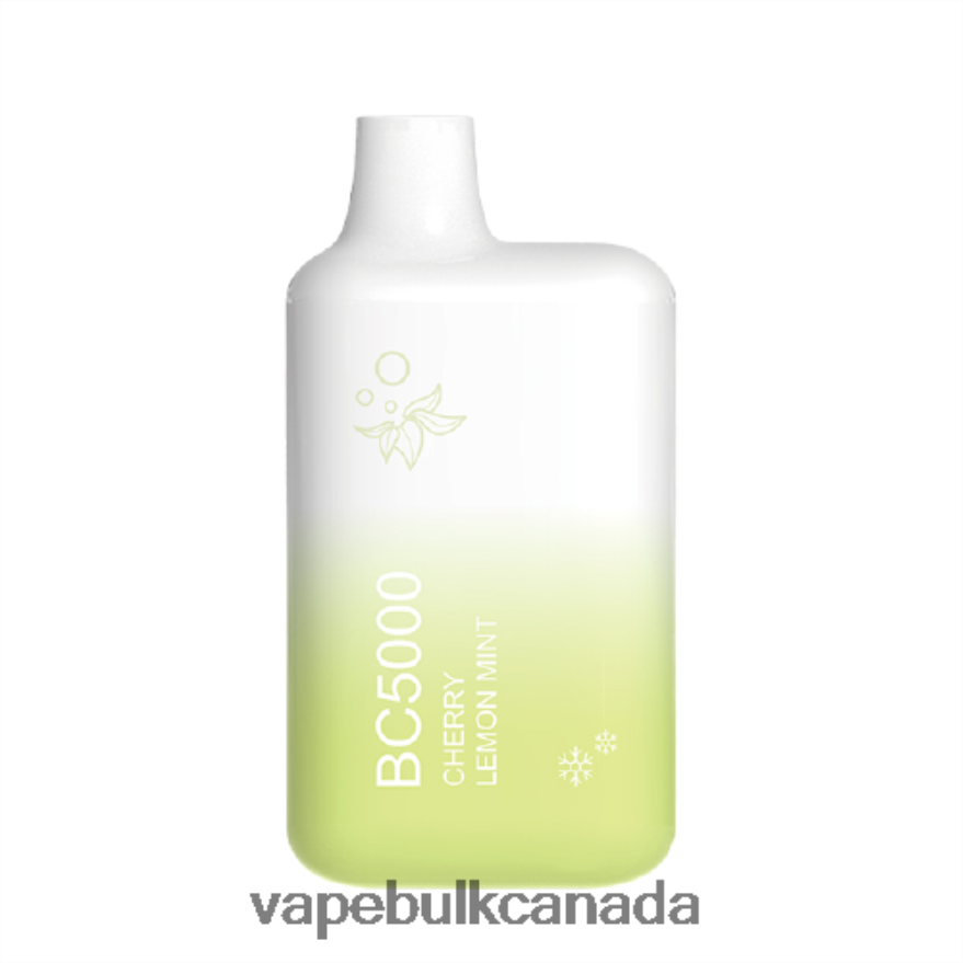 466BLN302 Lemon Mint - Vape Wholesale Canada ELFBAR BC5000