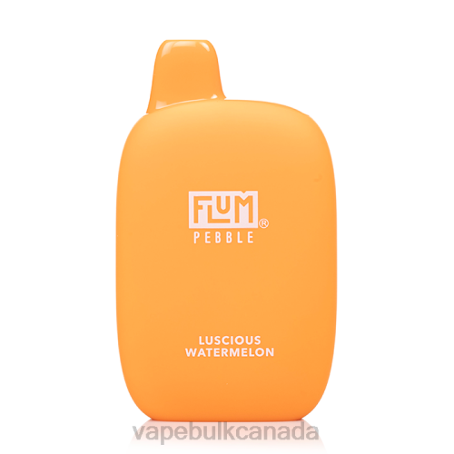 E Cigarette Wholesale - FLUM PEBBLES 6000 PUFFS Luscious Watermelon 8VRX31