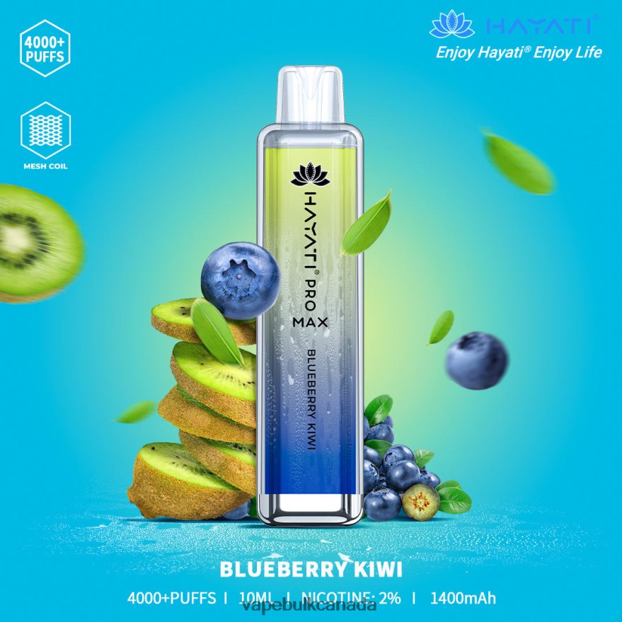 466BLN152 Blueberry Kiwi - Vape Wholesale Canada Hayati Pro Max 4000