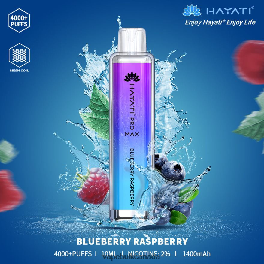 466BLN153 Blueberry Raspberry - Vape Bulk Canada Hayati Pro Max 4000