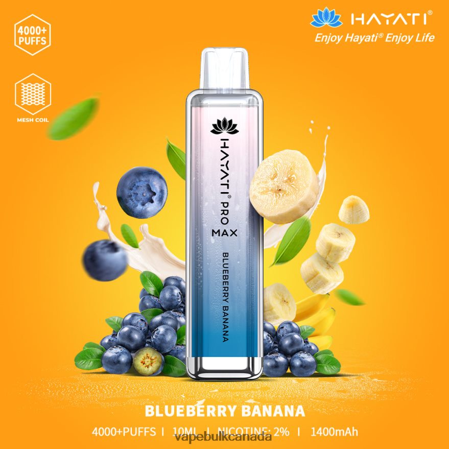 466BLN192 Blueberry Banana - Vape Wholesale Canada Hayati Pro Max 4000