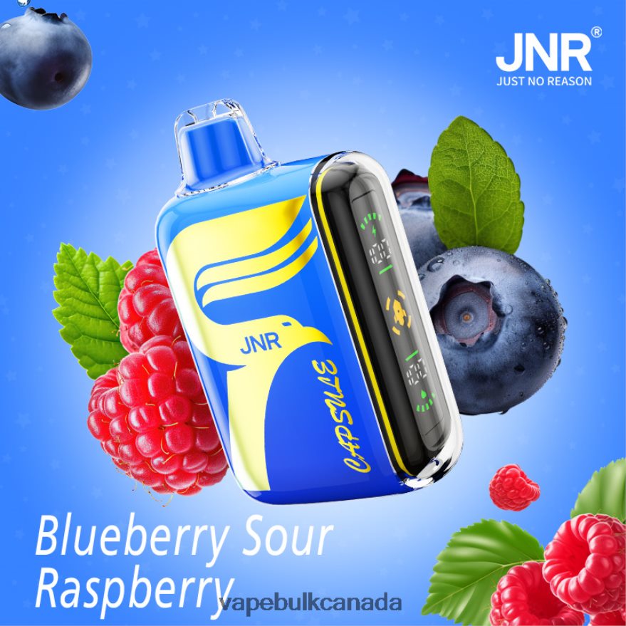 466BLN602 Blueberry-Sour-Raspberry - Vape Wholesale Canada JNR CAPSULE