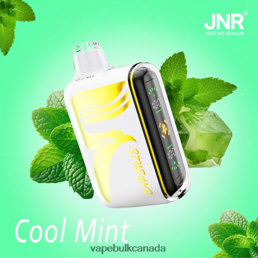 466BLN604 Cool Mint - Vape Wholesale Distributor Canada JNR CAPSULE