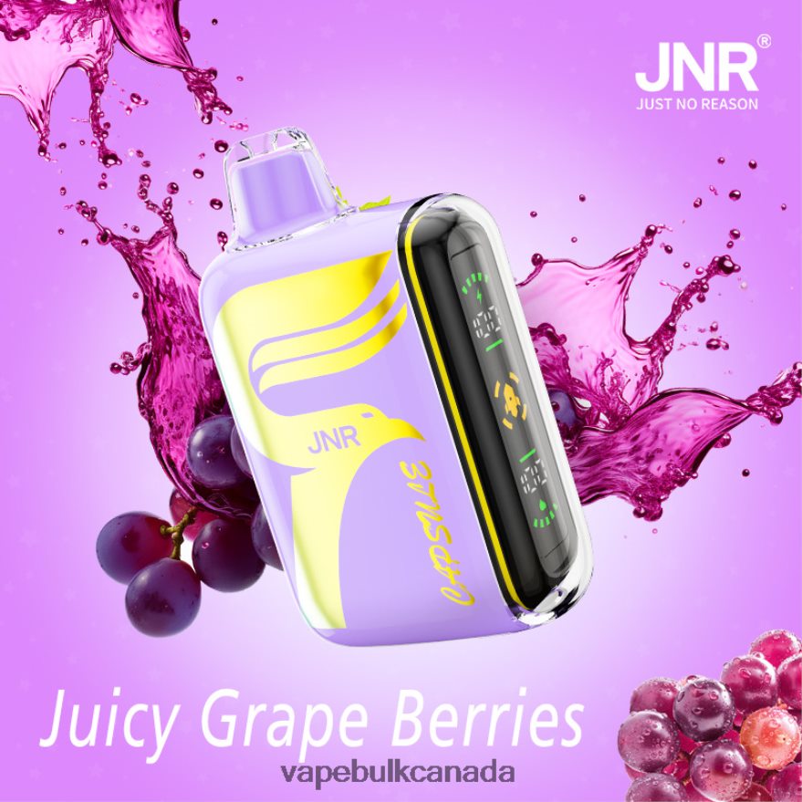 466BLN605 Juicy Grape Berries - Disposable Vape Wholesale Canada JNR CAPSULE