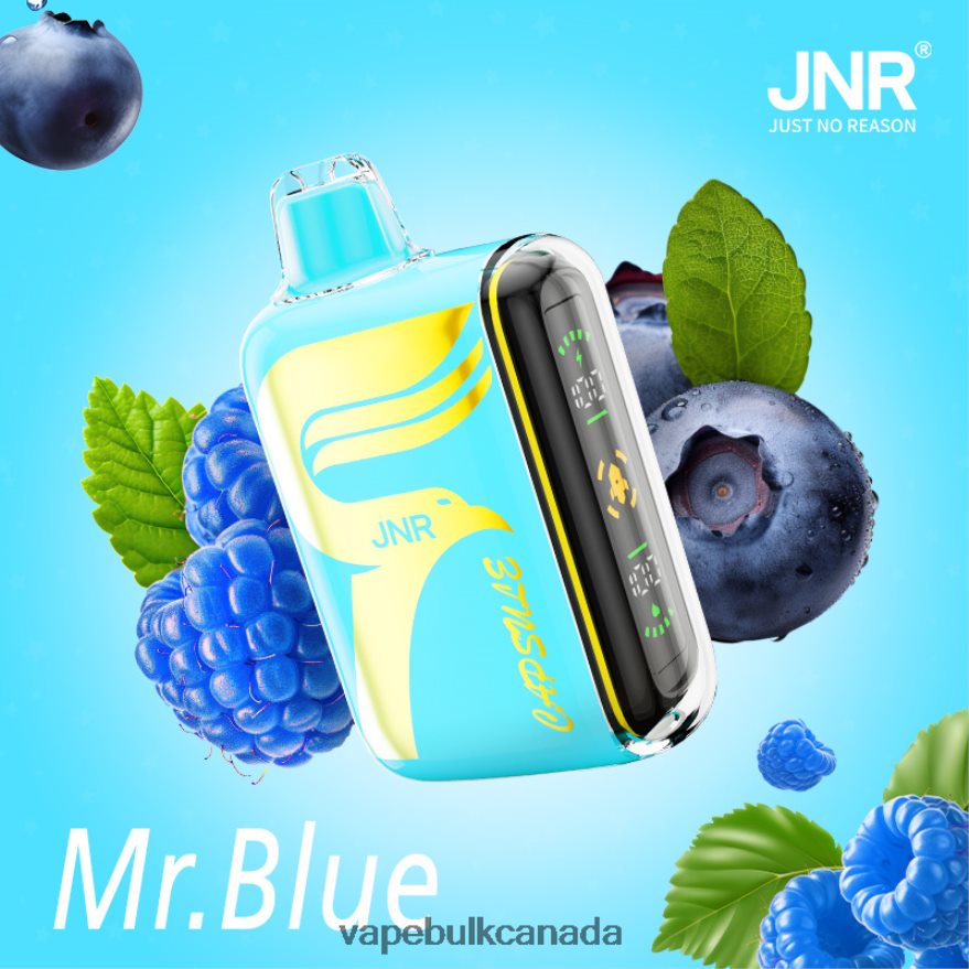 466BLN606 Mr.Blue - Vape Juice Wholesale Canada JNR CAPSULE