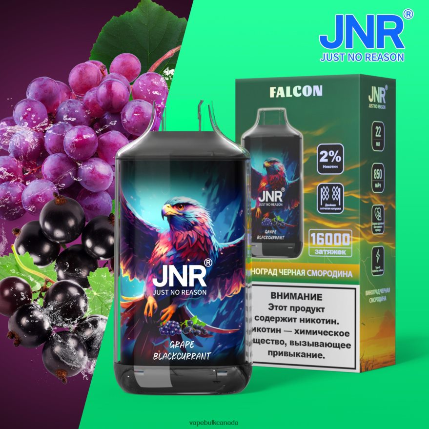 466BLN703 Grape Blackkcurrant - Vape Bulk Canada JNR FALCON