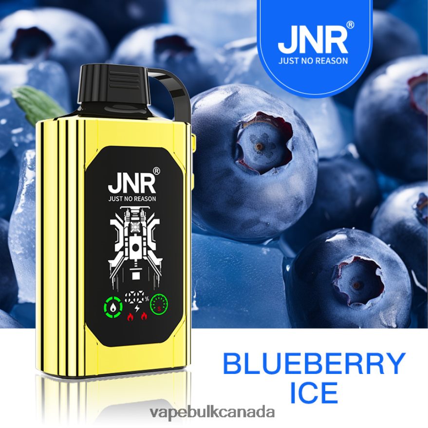 466BLN617 Blueberry Ice - Allo Vape Wholesale Canada JNR SHISHA BOX