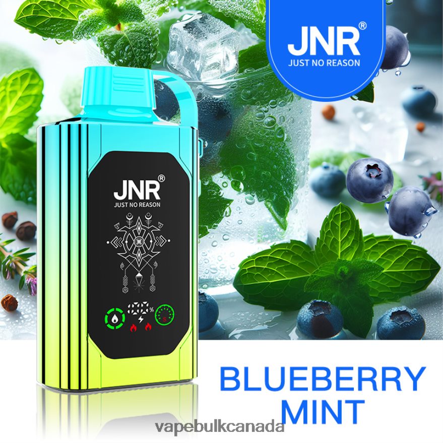 466BLN618 Blueberry Mint - Vice Vape Wholesale Canada JNR SHISHA BOX