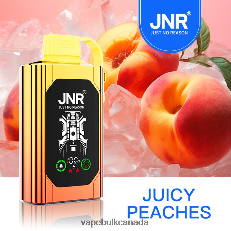 466BLN622 Juicy Peaches - Vape Wholesale Canada JNR SHISHA BOX