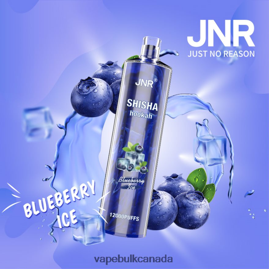 466BLN671 Blueberry Ice - E Cigarette Wholesale JNR SHISHA