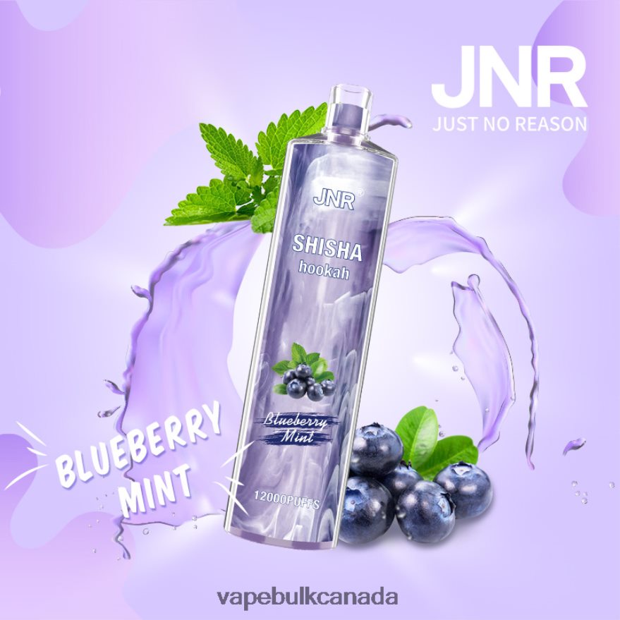 Blueberry Mint