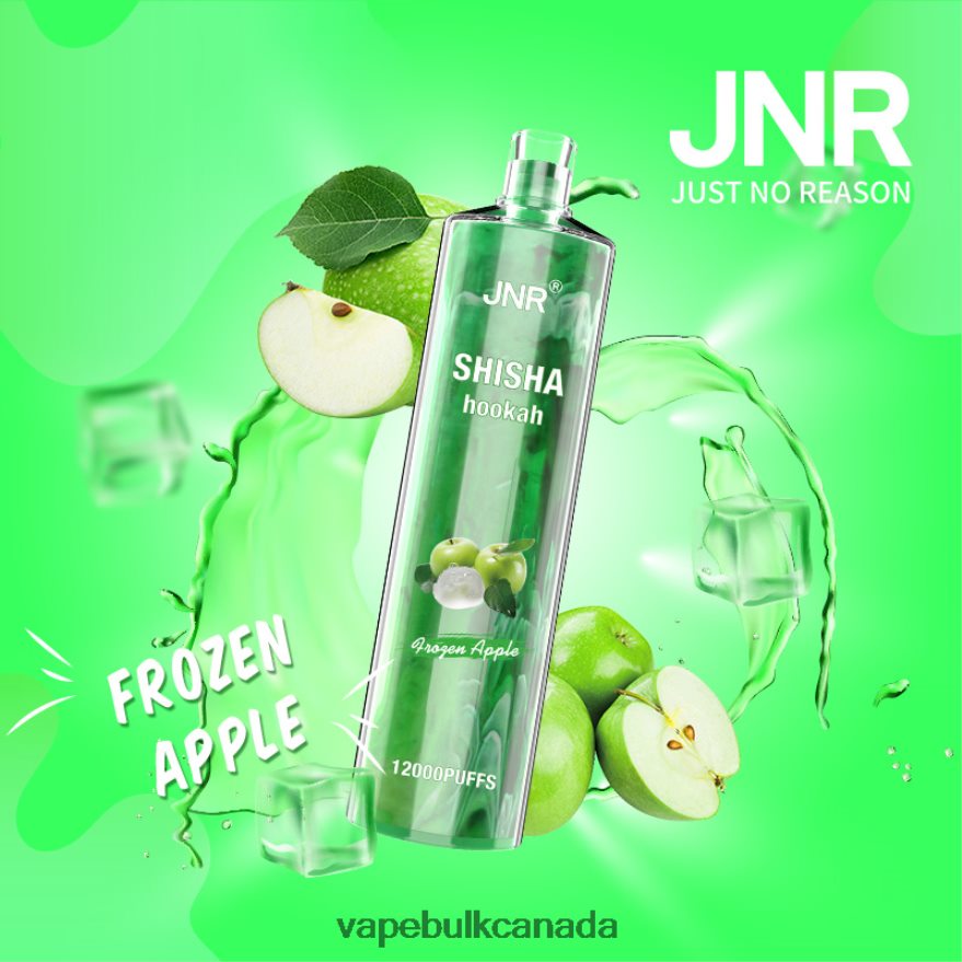 466BLN677 Frozen Apple - Allo Vape Wholesale Canada JNR SHISHA