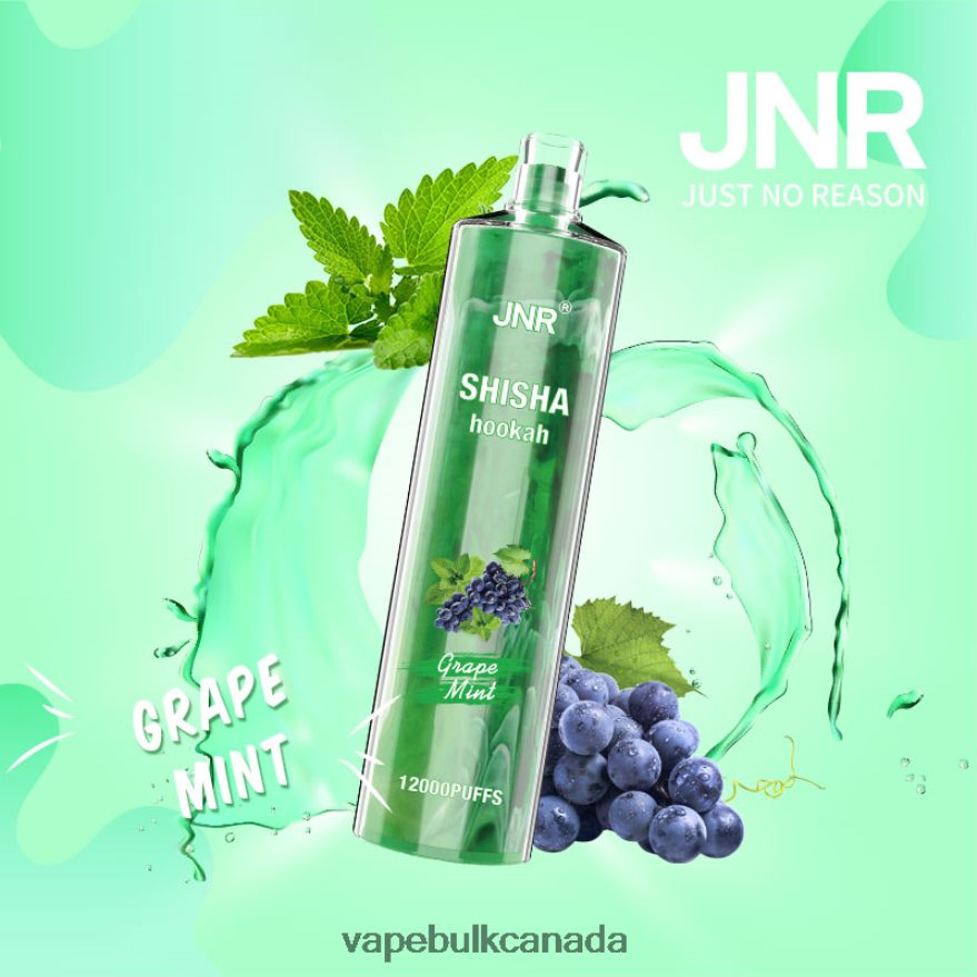 466BLN678 Grape Mint - Vice Vape Wholesale Canada JNR SHISHA