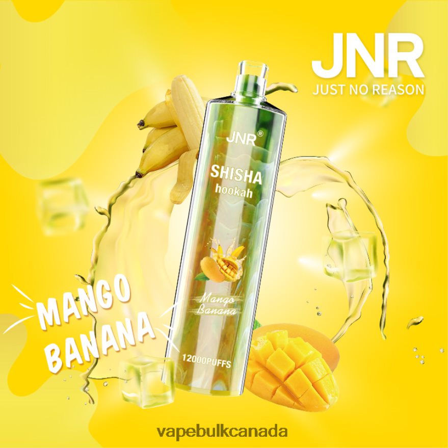 466BLN684 Mango Banana - Vape Wholesale Distributor Canada JNR SHISHA