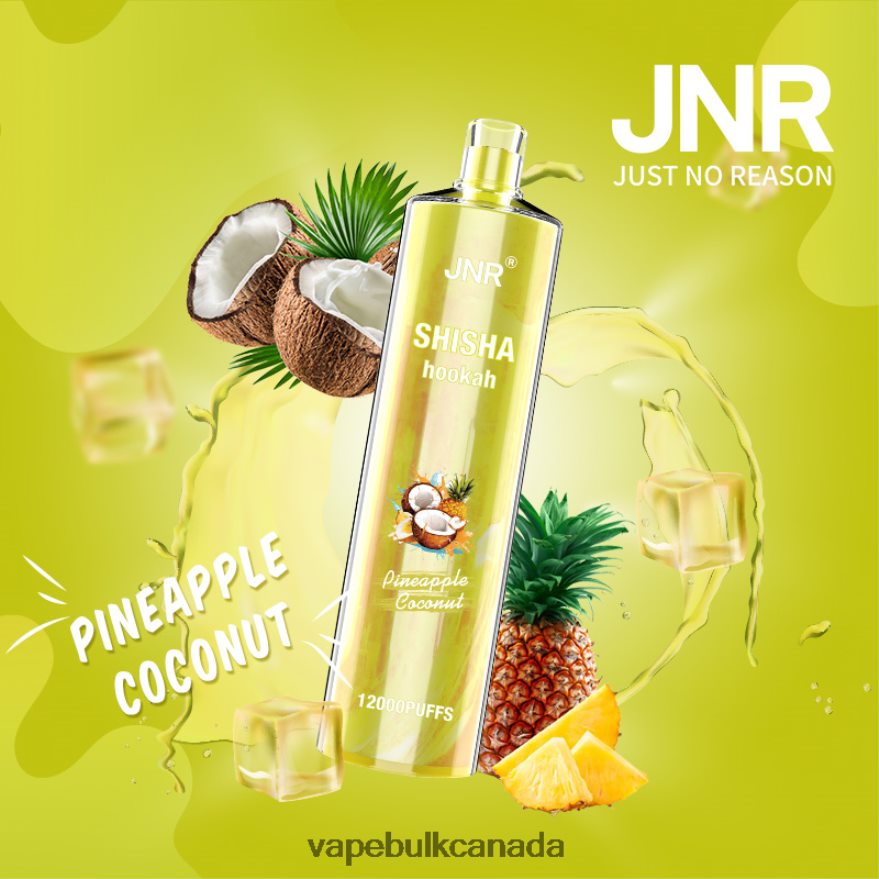 466BLN686 Pineapple Coconut - Vape Juice Wholesale Canada JNR SHISHA