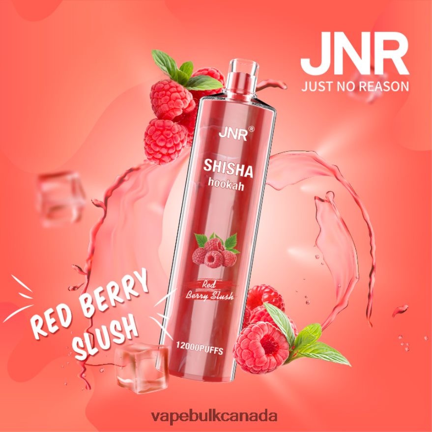 466BLN687 Red Berry Slush - Allo Vape Wholesale Canada JNR SHISHA