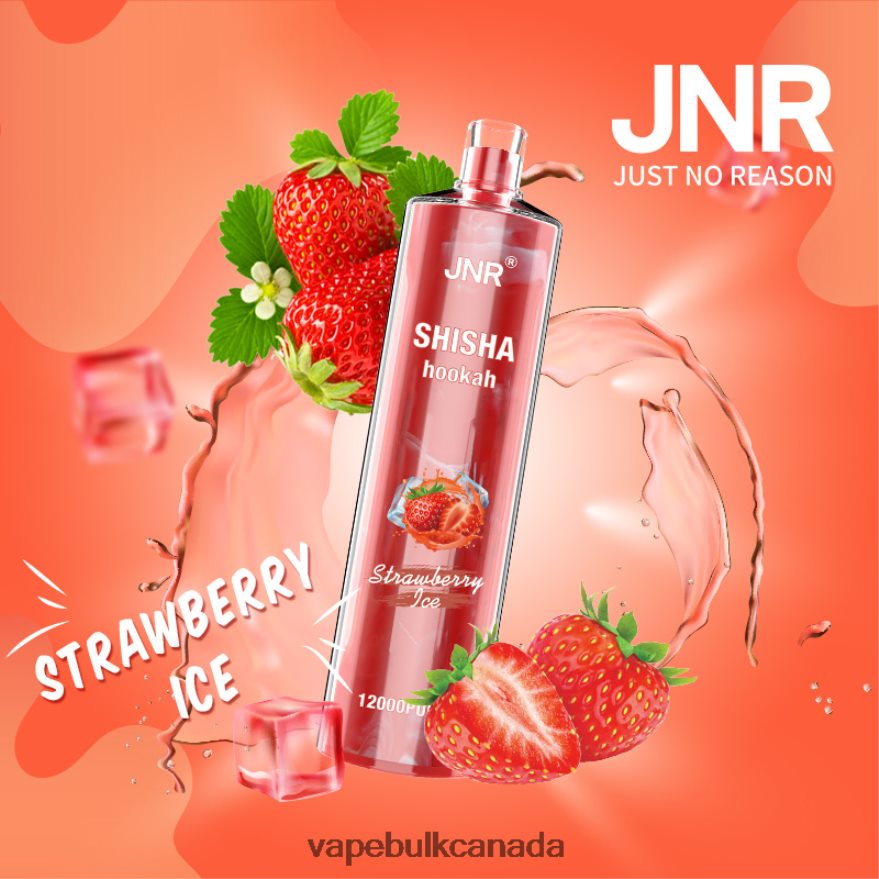 466BLN689 Strawberry Ice - Vape Wholesale Supplier Canada JNR SHISHA