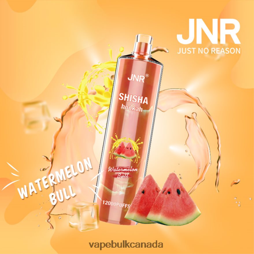 466BLN692 Watermelon Bull - Vape Wholesale Canada JNR SHISHA