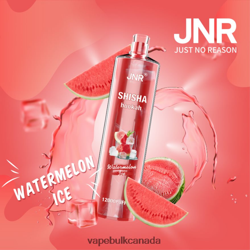 466BLN693 Watermelon Ice - Vape Bulk Canada JNR SHISHA