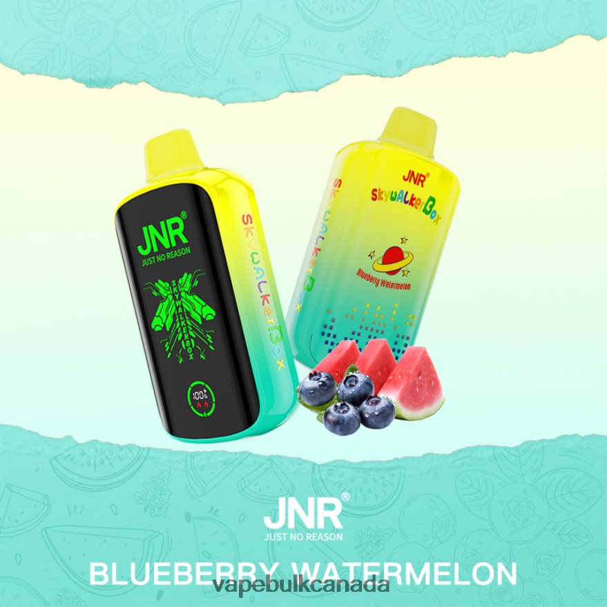 466BLN586 Blueberry Watermelon - Vape Juice Wholesale Canada JNR SKYWALKER BOX