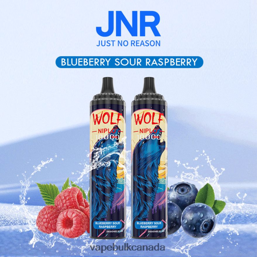 466BLN762 Blueberry Sour Raspberry - Vape Wholesale Canada JNR WOLF NIPLO