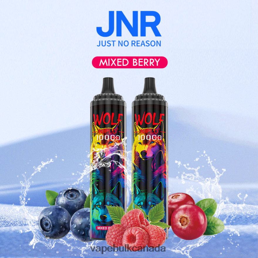 466BLN765 Mixed Berry - Disposable Vape Wholesale Canada JNR WOLF NIPLO