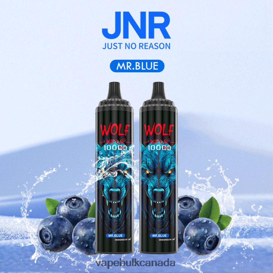 466BLN766 Mr.Blue - Vape Juice Wholesale Canada JNR WOLF NIPLO