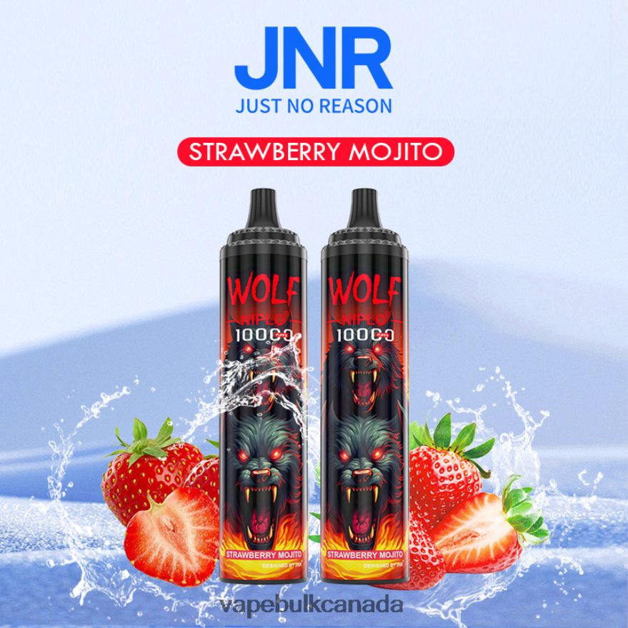 466BLN772 Strawberry Mojito - Vape Wholesale Canada JNR WOLF NIPLO