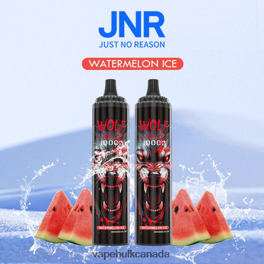 466BLN777 Watermelon Ice - Allo Vape Wholesale Canada JNR WOLF NIPLO