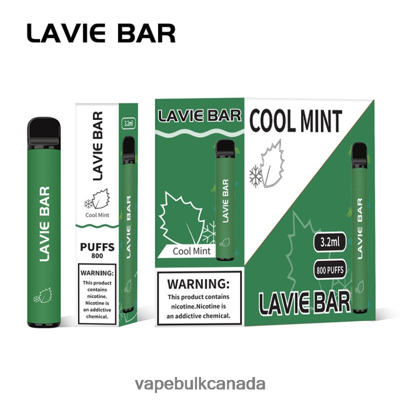 E Cigarette Wholesale - LAVIE BAR 800 Puffs BTD02L311 Cool Mint