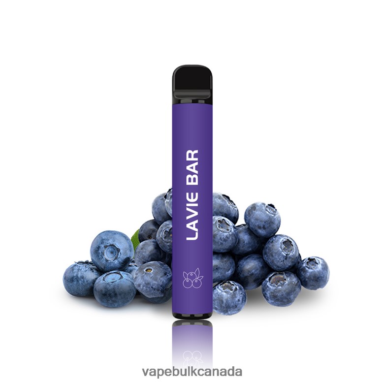 Vape Wholesale - LAVIE BAR 2% Version 800 Puffs BTD02L318 Blueberry