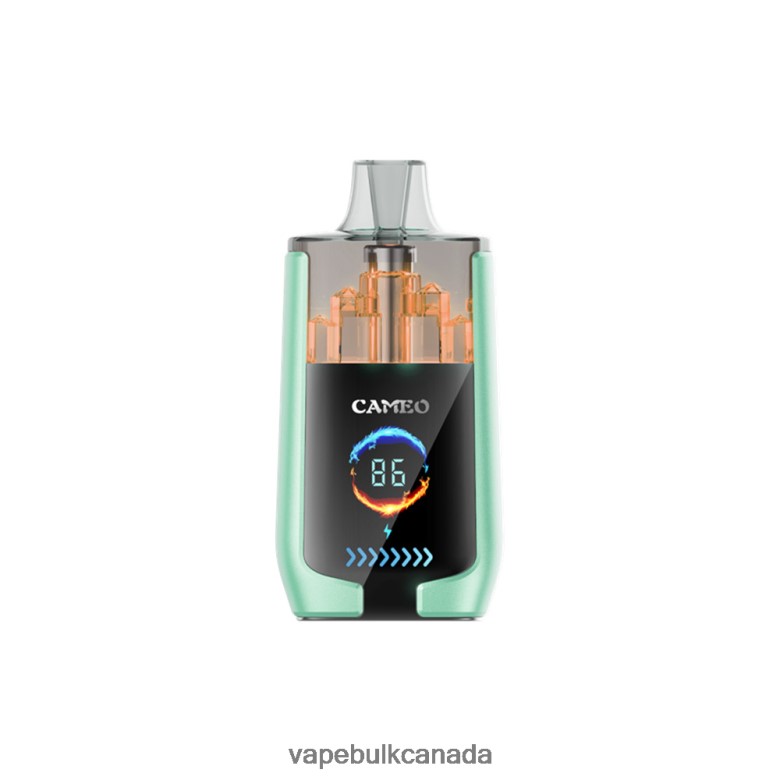 E Cig Wholesale - LAVIE CAMEO 30000 Puffs BTD02L20 Double Apple