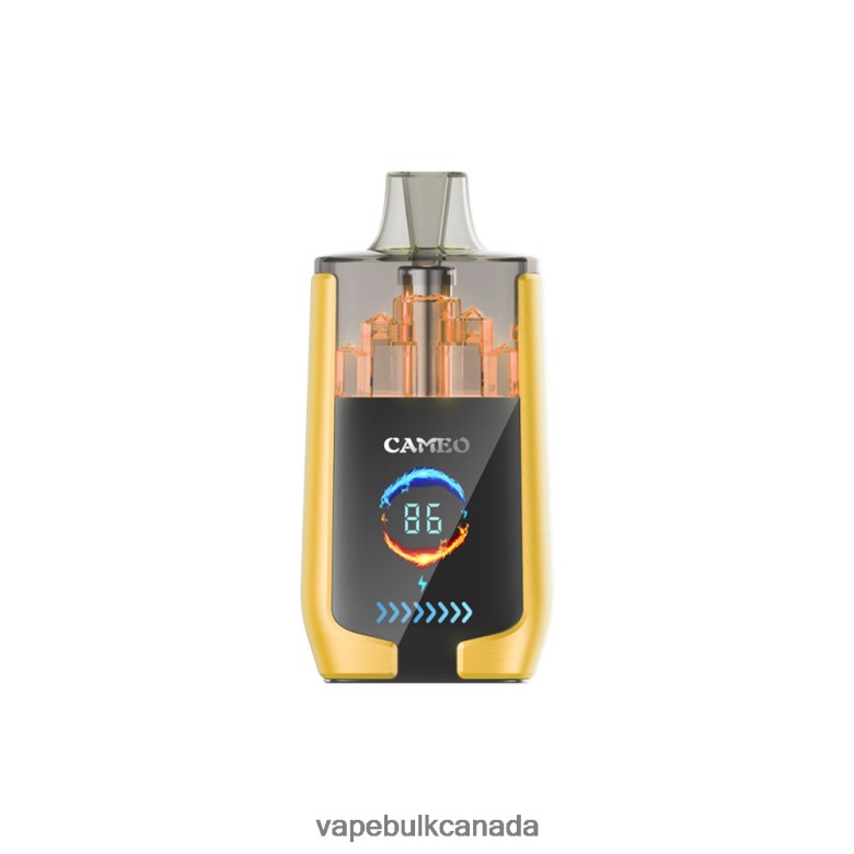 E Cigarette Wholesale - LAVIE CAMEO 30000 Puffs BTD02L21 Mango Ice