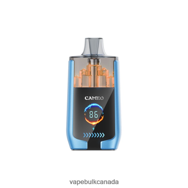 Vape Bulk Canada - LAVIE CAMEO 30000 Puffs BTD02L13 Strawberry Ice