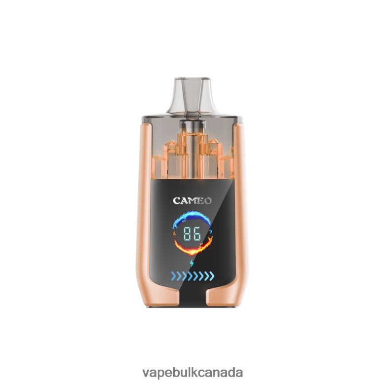 Vape Wholesale Canada - LAVIE CAMEO 30000 Puffs BTD02L22 Cherry