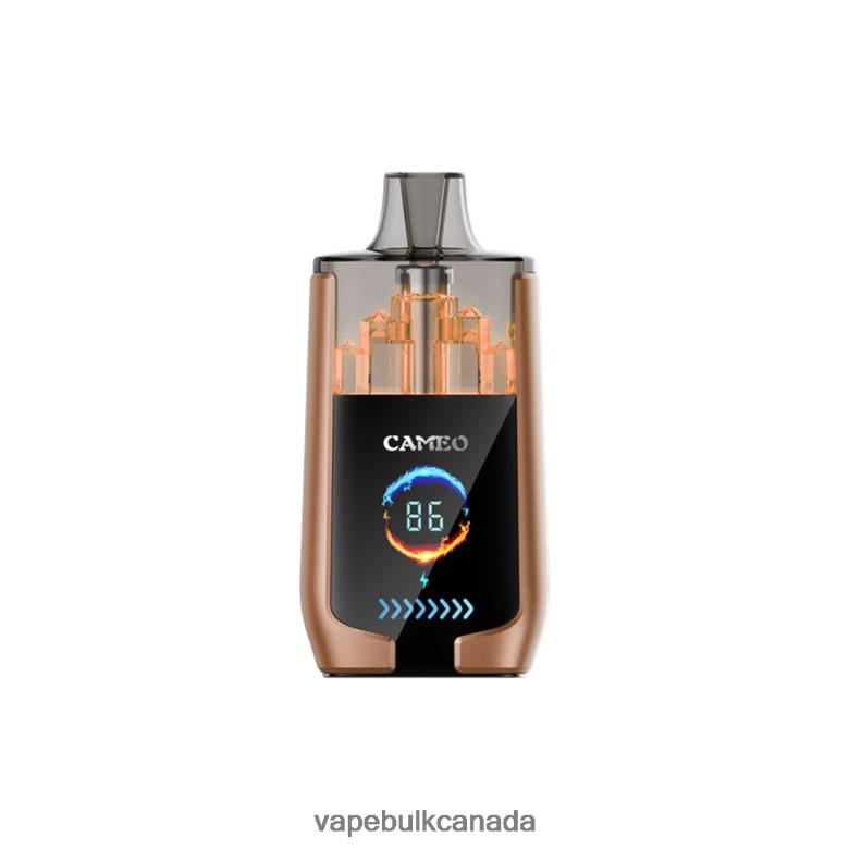 Vape Wholesale - LAVIE CAMEO 30000 Puffs BTD02L18 Coffee Ice