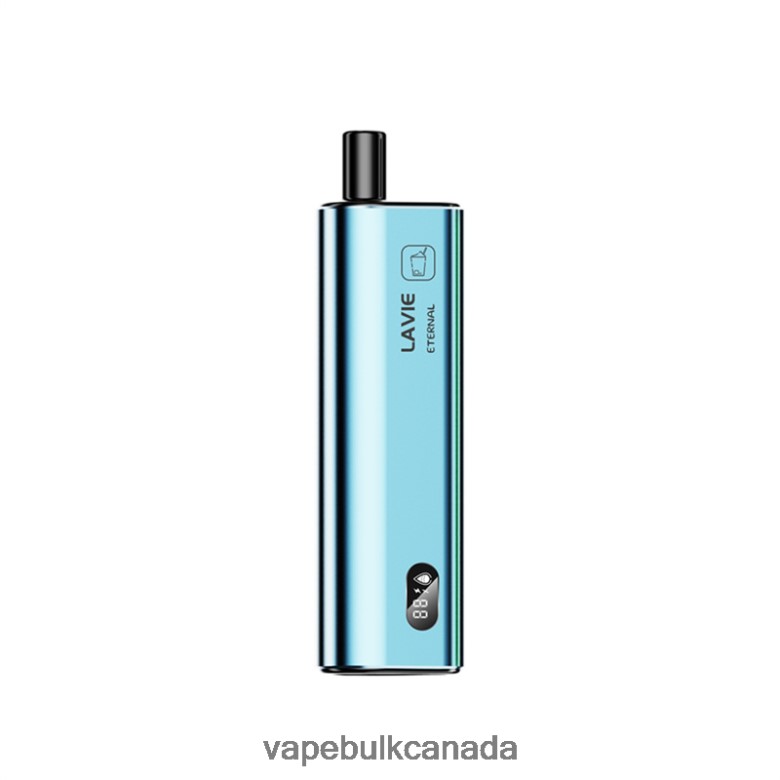 Disposable Vape Wholesale Canada - LAVIE ETERNAL 10000 Puffs BTD02L125 Mojito