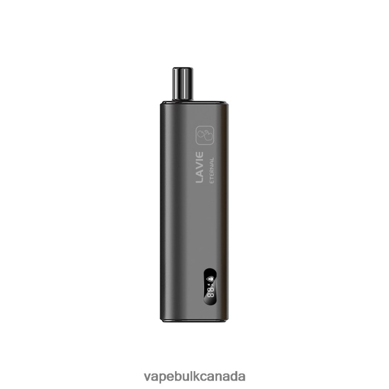 E Cig Wholesale - LAVIE ETERNAL 10000 Puffs BTD02L120 Double Apple