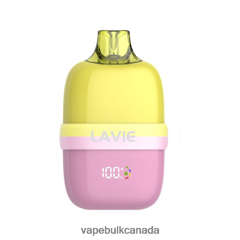 Vape Wholesale Canada - LAVIE INSIDER 12000 Puffs BTD02L82 Watermelon Ice