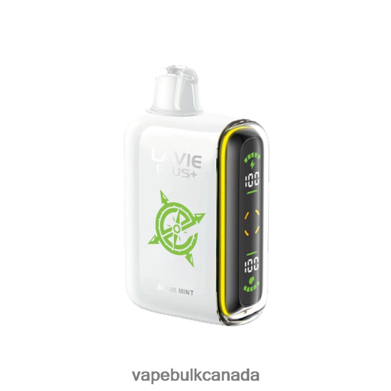 Vape Wholesale - LAVIE PLUS 15000 Puffs BTD02L98 Miami Mint