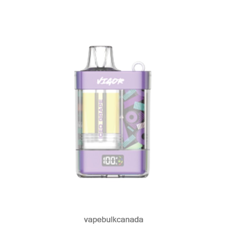 Vape Wholesale - LAVIE VIGOR 15000 Puffs BTD02L8 Iced Grape